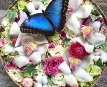 Живые бабочки с цветами купить шарики и цветы москва доставка